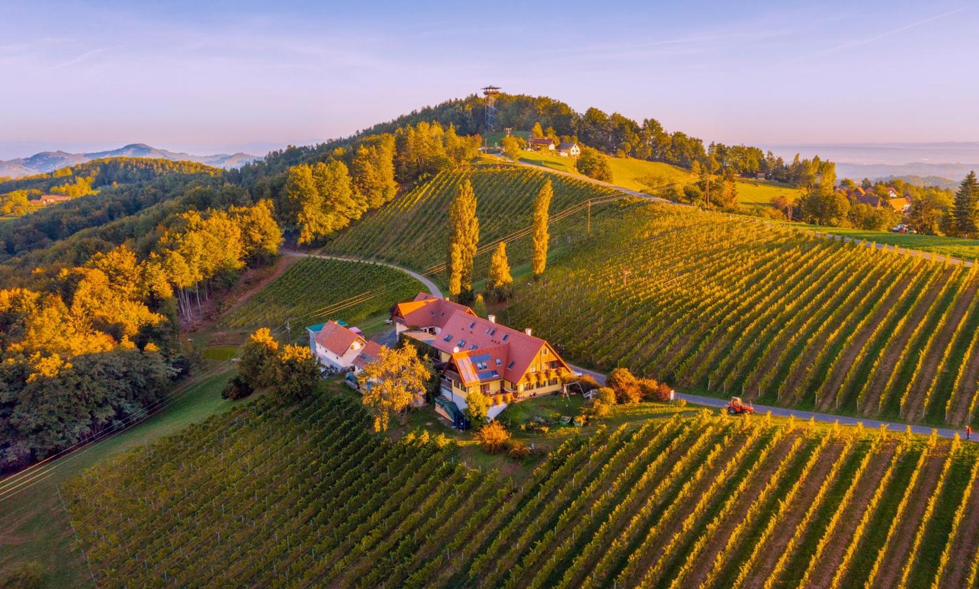 Weingut Winzerzimmer Rothschädl Leutschach Exterior foto