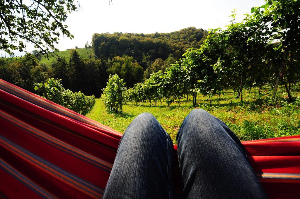 Weingut Winzerzimmer Rothschädl Leutschach Exterior foto