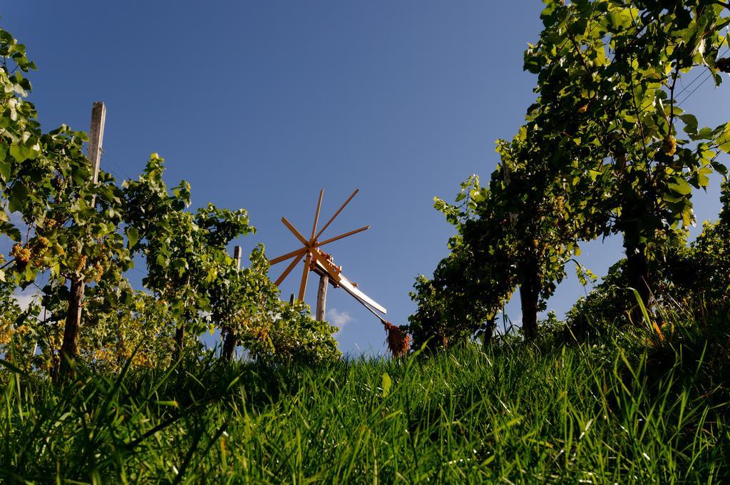 Weingut Winzerzimmer Rothschädl Leutschach Exterior foto